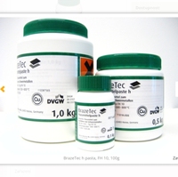 Pâte à souder BrazeTec toutes séries H pasta/H80/H285/80/285 flux en sachet boîte