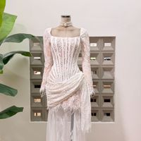 Nouvelle Robe Plissée en Dentelle à Motif Arête de Poisson, Manches Longues, Taille Cintrée, Coupe Ajustée, Jupe Mi-longue pour Femme – Collection Automne 2026