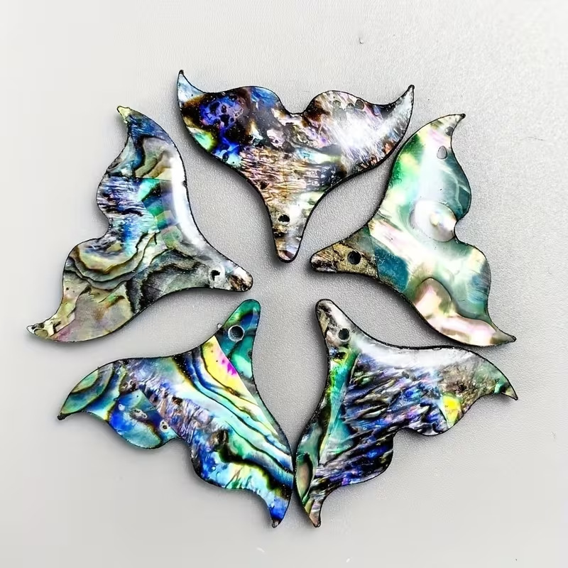 Abalone shell fish