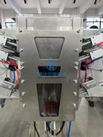 Système de tri et de comptage automatique à grande vitesse pour sachets de compléments alimentaires vitaminiques YH