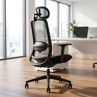 Chaise de bureau ergonomique entièrement en mesh, dossier haut avec appui-tête, soutien lombaire, accoudoirs réglables, chaise de bureau pivotante pour la maison et le bureau