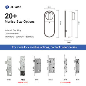 قفل باب رقمي ذكي بمحرك إلكتروني من Liliwise OEM ODM قابل للتعديل يتناسب مع أسطوانات EU Profile - Product Image 3