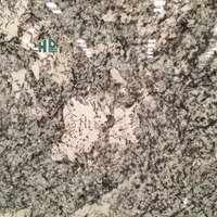 Comptoir en pierre de granit de l'Alaska Offre Spéciale pour villa