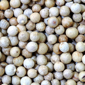 Nouvelle Saison Poivre Blanc Entier Indien Frais en Granulés Épice Naturelle Premium Durée de Conservation 24 Mois pour Acheteurs en Gros Mondiaux - Product Image 1