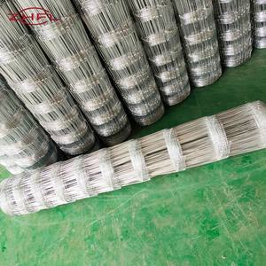 Bande transporteuse en maille métallique en acier inoxydable, directement de l'usine, pour le tri des myrtilles - Product Image 3