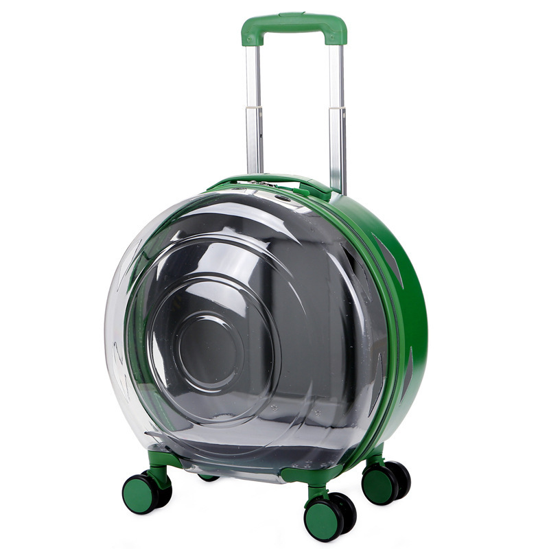 Caja de burbujas-verde semitransparente