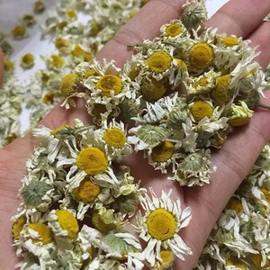 Tè Sfuso di Fiori Secchi di Camomilla Greca - Product Image 5