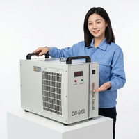 Refroidisseur d'eau industriel professionnel CW-5000, capacité de refroidissement de 800W pour le refroidissement des tubes laser CO2, 220V/110V