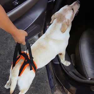 สายรัดขาสัตว์เลี้ยงสำหรับจูงสุนัข-สายรัดป้องกันขาหลังสำหรับผู้พิการหรือบาดเจ็บ-สายรัดช่วยเหลือสุนัขสูงอายุ - Product Image 4