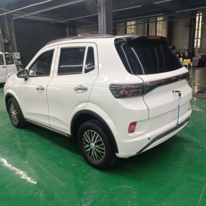 Nuevo SUV Eléctrico de Baja Velocidad con Autonomía de 301-400 km, Motor de 200-250 kW, Carga Rápida - Promoción por Tiempo Limitado - Product Image 4