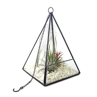 Terrarium géométrique en verre noir pour plantes succulentes, fougères, plantes aériennes, mini-jardin féerique, cadeau