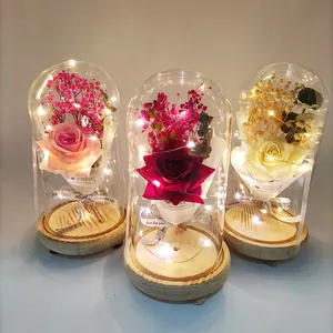 Home Decoration LED Light Artificial Rose Flower Gift in Glass Dome Wholesale Factory Direct Hot Selling for Wedding OEM Picture