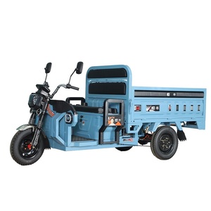 Meilleure vente de tricycle électrique Cargo adulte à 3 roues 1000W Power - Product Image 2