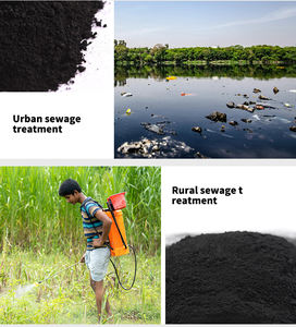 Ambiental Friendly Fertilidade do Solo Aumenta Carvão De Cinza De Carbono Carvão Biochar Biológico Ativado - Product Image 4