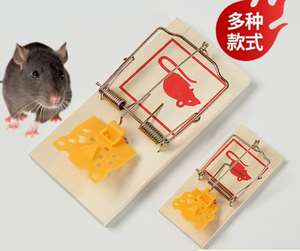 Piège <span class=keywords><strong>à</strong></span> souris classique en métal <span class=keywords><strong>à</strong></span> ressort, base en bois, piège <span class=keywords><strong>à</strong></span> rats <span class=keywords><strong>à</strong></span> haute sensibilité, tueur de rongeurs pour la lutte antiparasitaire <span class=keywords><strong>à</strong></span> la maison et au jardin - Product Image 2