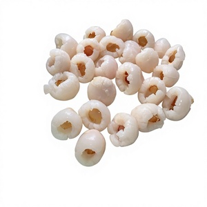Buah leci kaleng dalam sirup 567g/800g/2840g