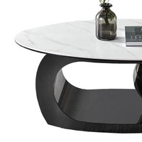 Table basse moderne Table ronde nordique ovale Table basse intelligente ronde en céramique Plateau en céramique Titane noir brossé inoxydable