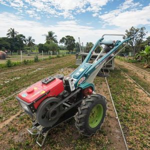 Farm Tavol 16HP Tractor Agricultural <b>Machinery</b> <b>Walking</b> Tractor - Product Image 2