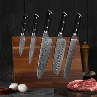 Outils de cuisine professionnels 5 pièces manche G10 acier damas ensemble de couteaux de cuisine