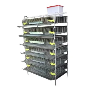 Modern Europe Design Standard Quail Cage For Fully Automatic Quail Cage Breeding Base
