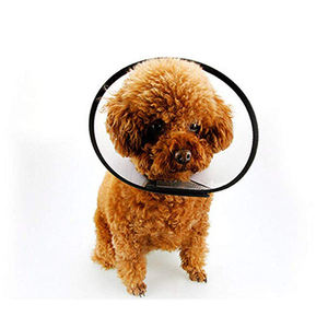 Pet koruyucu yumuşak temizle koni engel görüş uygun köpek ve kedi Pet ayarlanabilir hafif yaka - Product Image 6