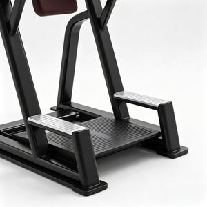Station d'entraînement intégrée robuste pour tractions et dips, machine d'entraînement des membres supérieurs pour salle de fitness, salle d'entraînement privée, club de sport - Product Image 6