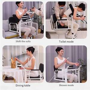 Sollevatore per Pazienti con Sedia a Rotelle per Casa, Leggero, per Camera da Letto e Bagno, per Anziani - Product Image 1