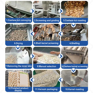 Máquina Peladora de Anacardos Automática OCEAN China, Vaporera, Peladora, Línea de Procesamiento de Nueces de Anacardo - Product Image 2