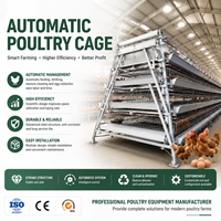 Système de cages automatiques robustes pour poulets pondeurs pour ferme avicole commerciale, nouvelle longue durée de vie