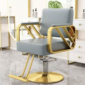 Modern yeni Ro kuaför koltuğu taşınabilir çok fonksiyonlu güzellik faydaları paslanmaz çelik kolçaklar ayarlanabilir Footrest <span class=keywords><strong>Salon</strong></span> - Product Image 3