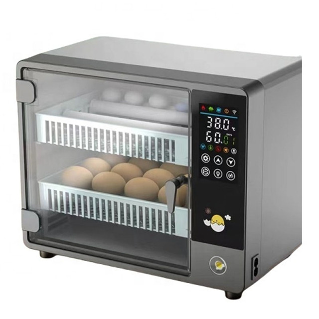 Newest Fully Automatic Mini Egg Incubator 24-Egg Capacity Dual Power Stylish Design