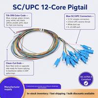 Kabel Patch Fiber Optik Model Grosir 12 Core 09mm Pigtail SC/UPC Data Room SC Interface Bundle Cina