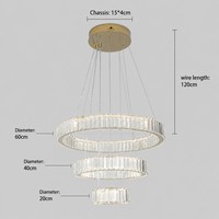 Lustre de luxe en cristal avec interrupteur à bascule Eagle Rise certifié SAA, ensemble complet d'éclairage pour hall duplex et chambre à coucher