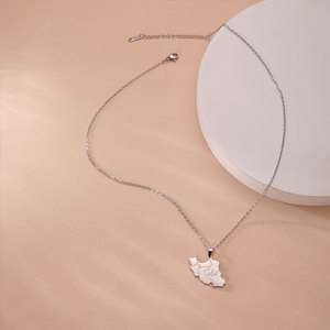 Collier étanche en acier inoxydable doré pour femme, bijoux plaqué or 18 carats, collier carte de l'Iran pour femme, collection 2026 - Product Image 5