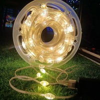 50Meter hochwertige IP67 RGB LED-Stern lichter für die Weihnachts-und Garten dekoration im Freien