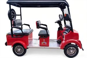 Triciclo Elettrico Yonsland a <span class=keywords><strong>4</strong></span> <span class=keywords><strong>Ruote</strong></span>: Ampio Spazio, Motore a Lunga Autonomia - Product Image 3