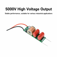 Module d'alimentation DIY DC 3.7V à 5000V à faible dissipation thermique pour fonctionnement prolongé