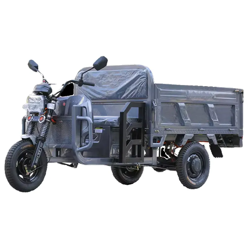 Vendita calda popolare Cargo triciclo cabina 800w-1000w auto-scarico merci carico elettrico re merci traino triciclo