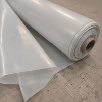 Film plastique noir 250 MICRON en LDPE, rouleau de bâche imperméable pour chantier, protection contre la poussière, rouleau de bâche de protection du sol