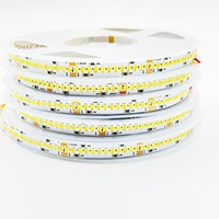 Bande LED CCT 3000K+6000K DC12V 24V SMD 2835 240 LED/m IP20 Largeur 10mm PCB Cuivre 10W Rouleau de 10m Bandeaux LED Intelligents Dimmables