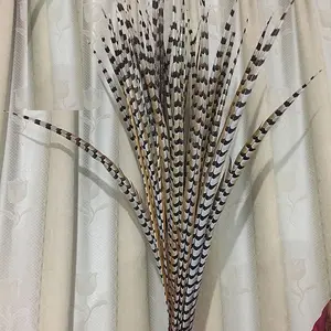 Plumas de faisán hechas en fábrica, plumas de faisán baratas para la venta, plumas de faisán para decoración