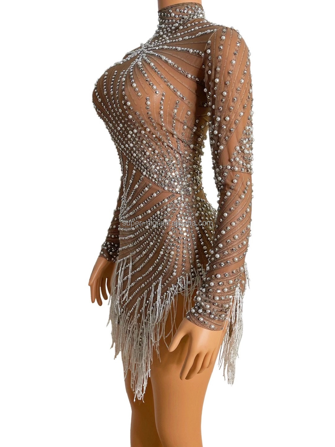 Sparkly See through Dress - Perfect for Party Performance
