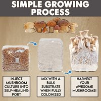 Bolsas de cultivo de setas, bolsas de sustrato de setas PP, bolsas de cultivo de setas con puerto de inyección