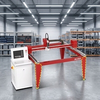 Nouvelle machine de découpe laser fibre CNC de type portique économique 1500W pour tôles en acier inoxydable haute précision petit format PLT