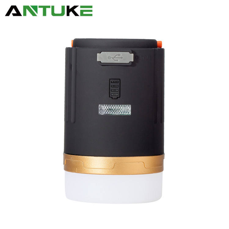 New model with remote control