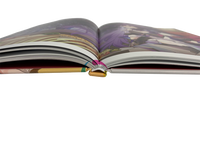 Grande qualité en gros étui à couverture rigide personnalisé relié bande dessinée manga livre Offset service d'impression or estampillé