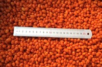 Oem/Odm Hoge Kwaliteit Hot Sell China Fabriek Bevroren Fruit Voedsel Voor Groothandel En Retail Iqf Frozen Duindoorn Hele Haccp Brc