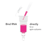 Kit Direct-zol RNA Miniprep Plus pour la purification totale de l'ARN à partir d'échantillons TRIzol avec DNase I pour NGS RT-qPCR