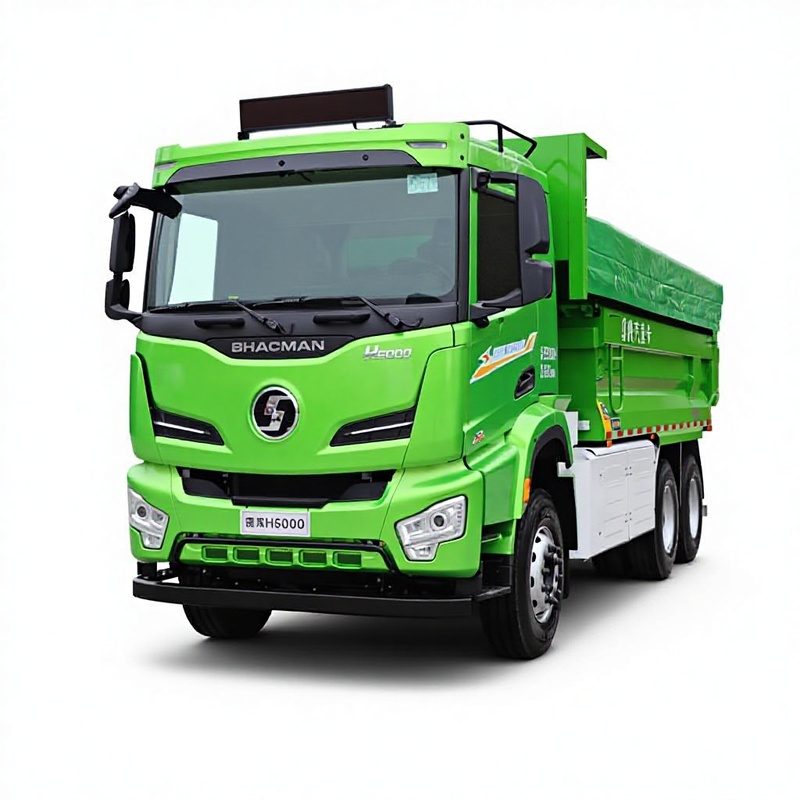 New Shacman H6000 6X4 Electric Dumper