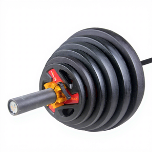 Plaques de musculation pour salle de sport à domicile Rising Fitness, nouveau design, plaques interchangeables en PU, diamètre 25/28/30 mm, <span class=keywords><strong>poids</strong></span> 1,5 kg-20 kg - Product Image 2